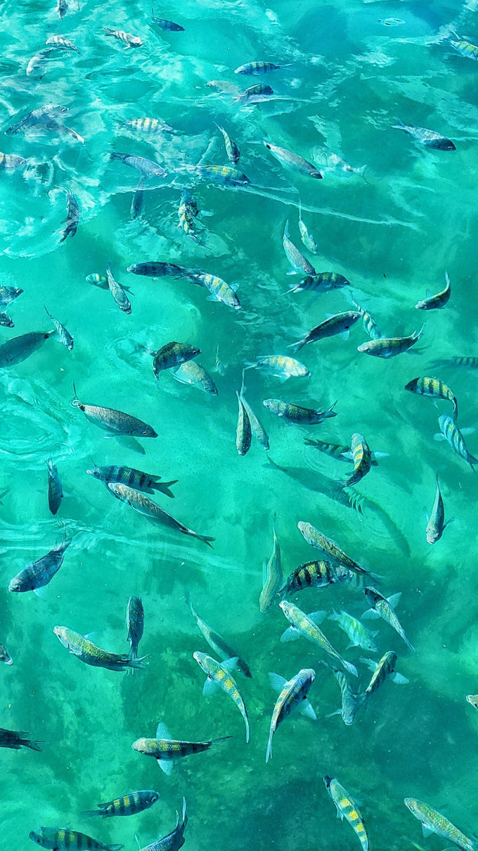 Ilha Grande Boat Tours: The Guide to the Best Trips & Things to Do (2026)