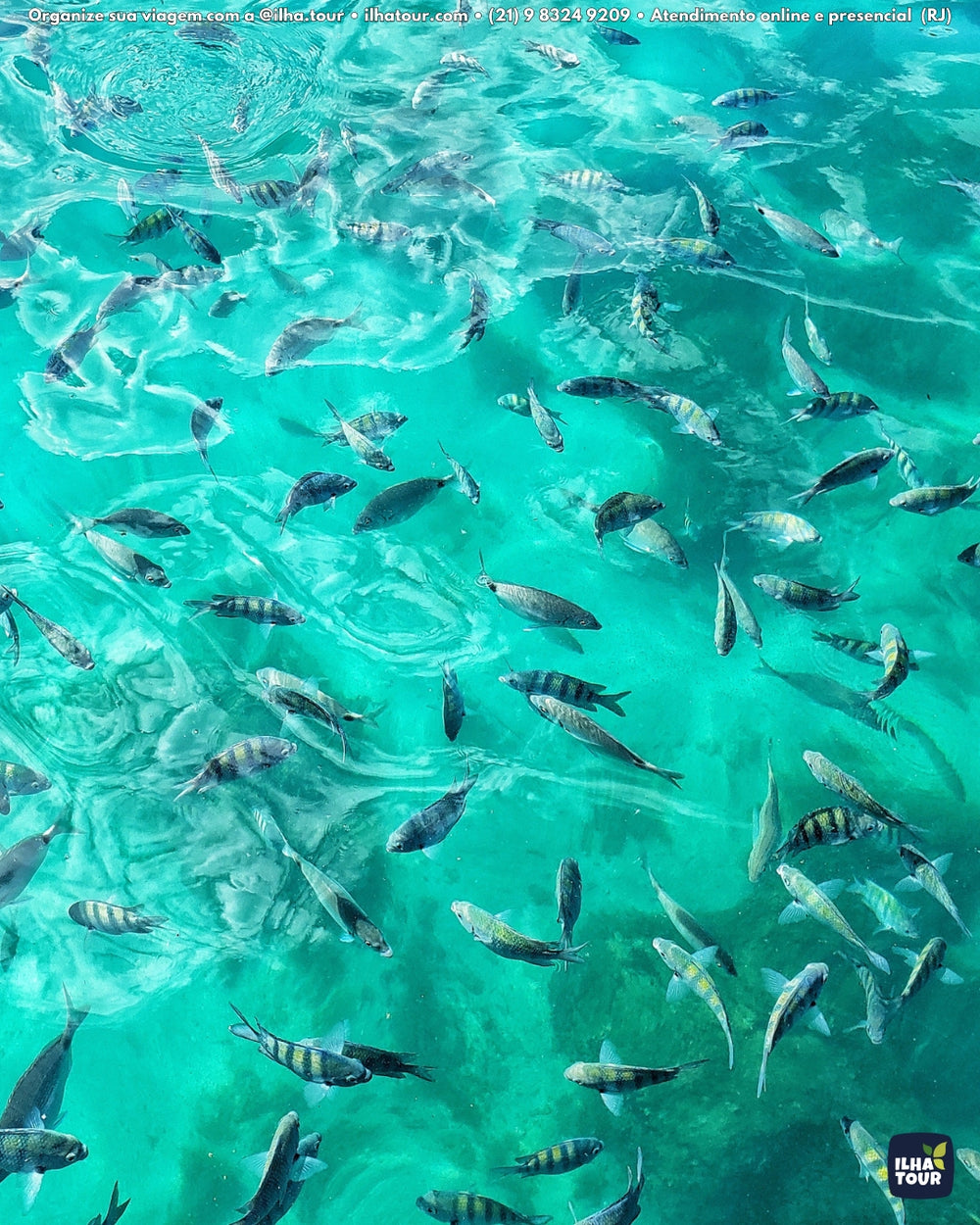 Forfait Lagune Bleue