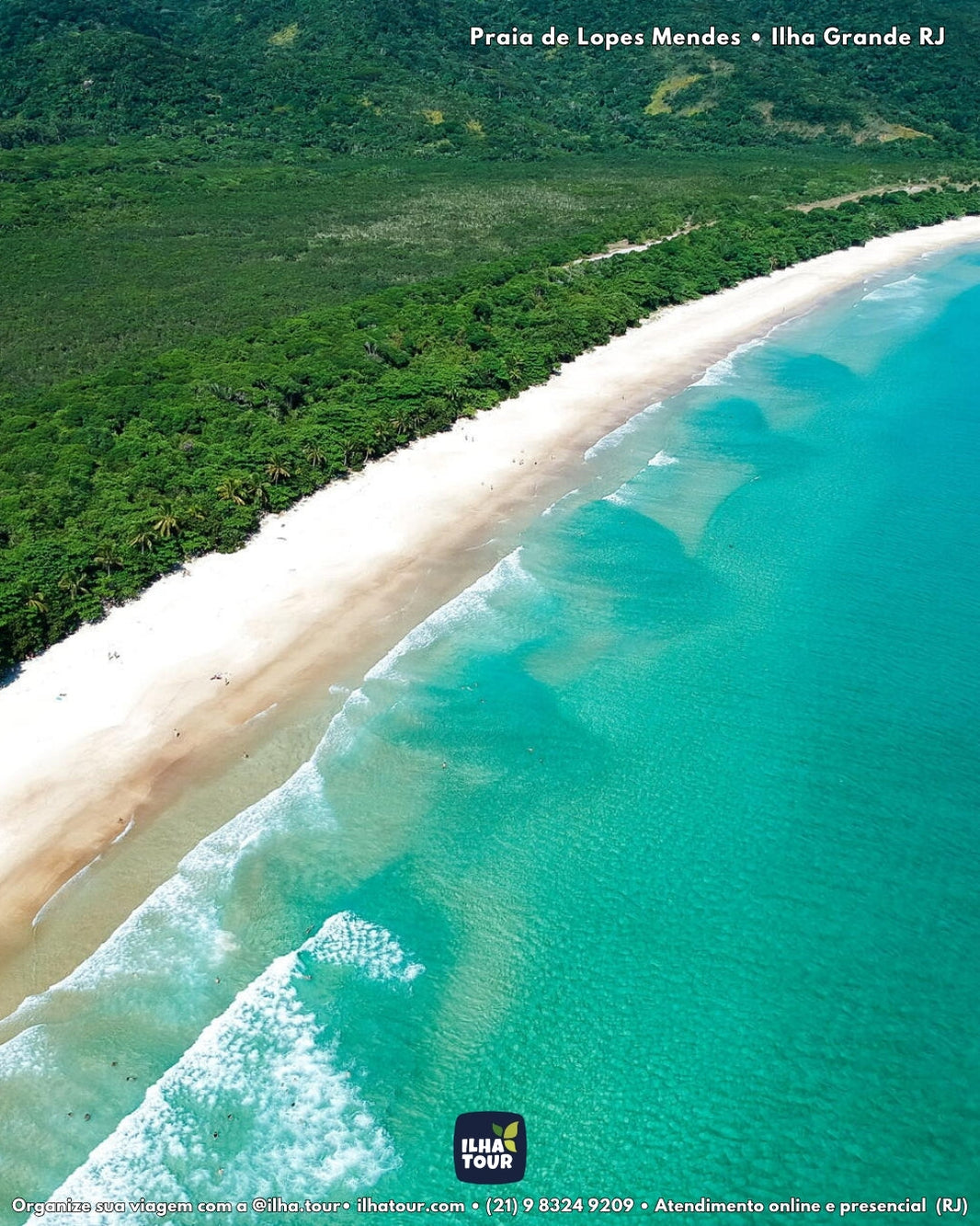 Praia de Lopes Mendes vista de cima, Ilha Grande RJ