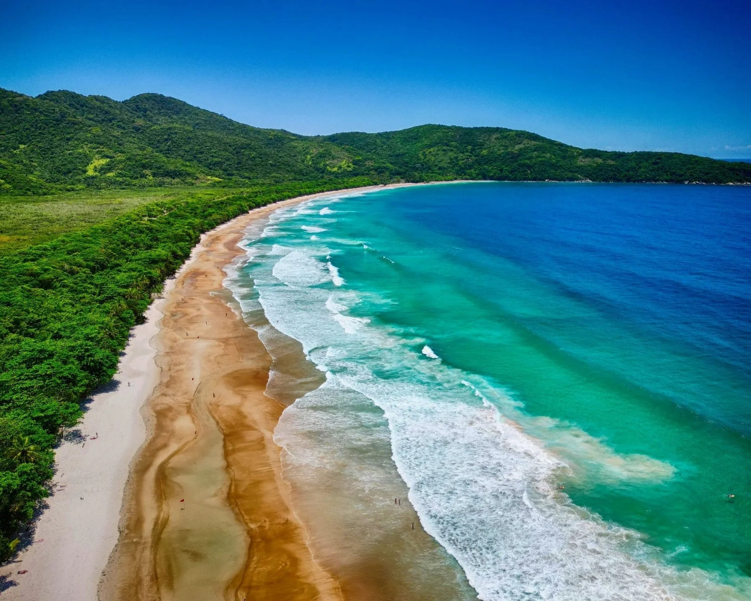 ⭐ Favoris d'Ilha Tour — Ilha Grande, RJ